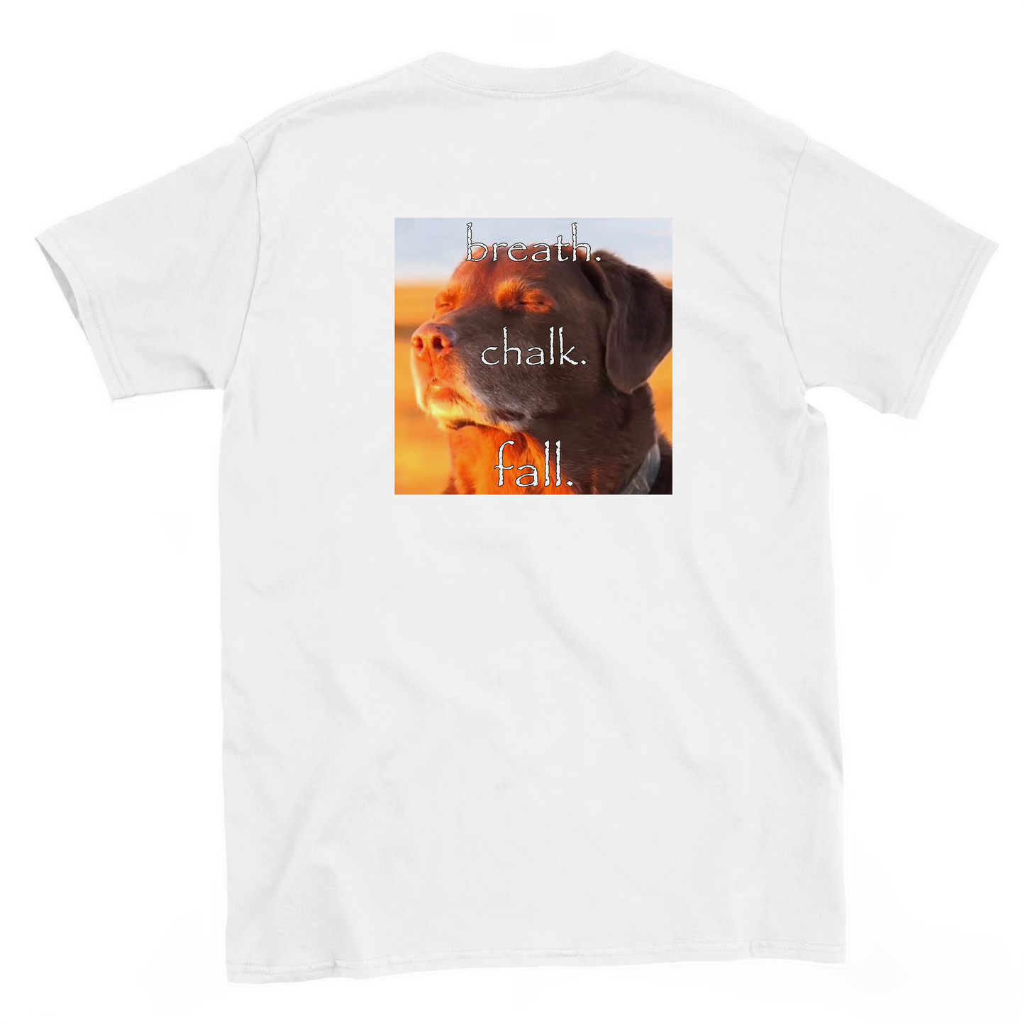 breath. chalk. fall. T-shirt