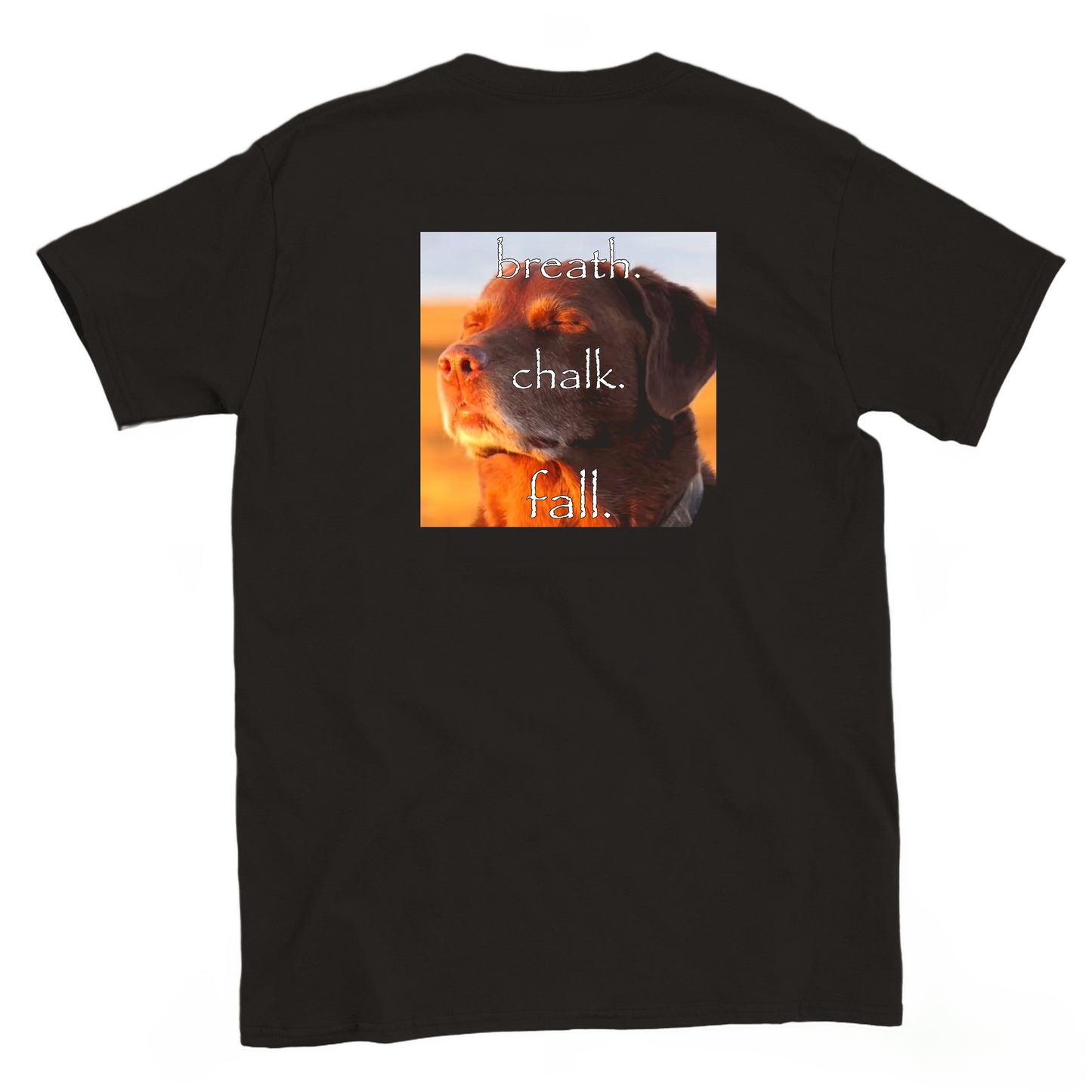breath. chalk. fall. T-shirt