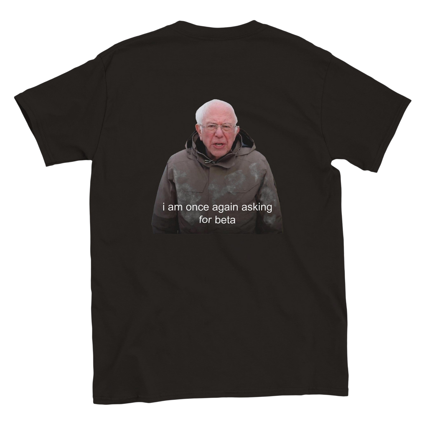 Funny climbing shirt – I Am Once Again Asking For Beta T Shirt Backside
