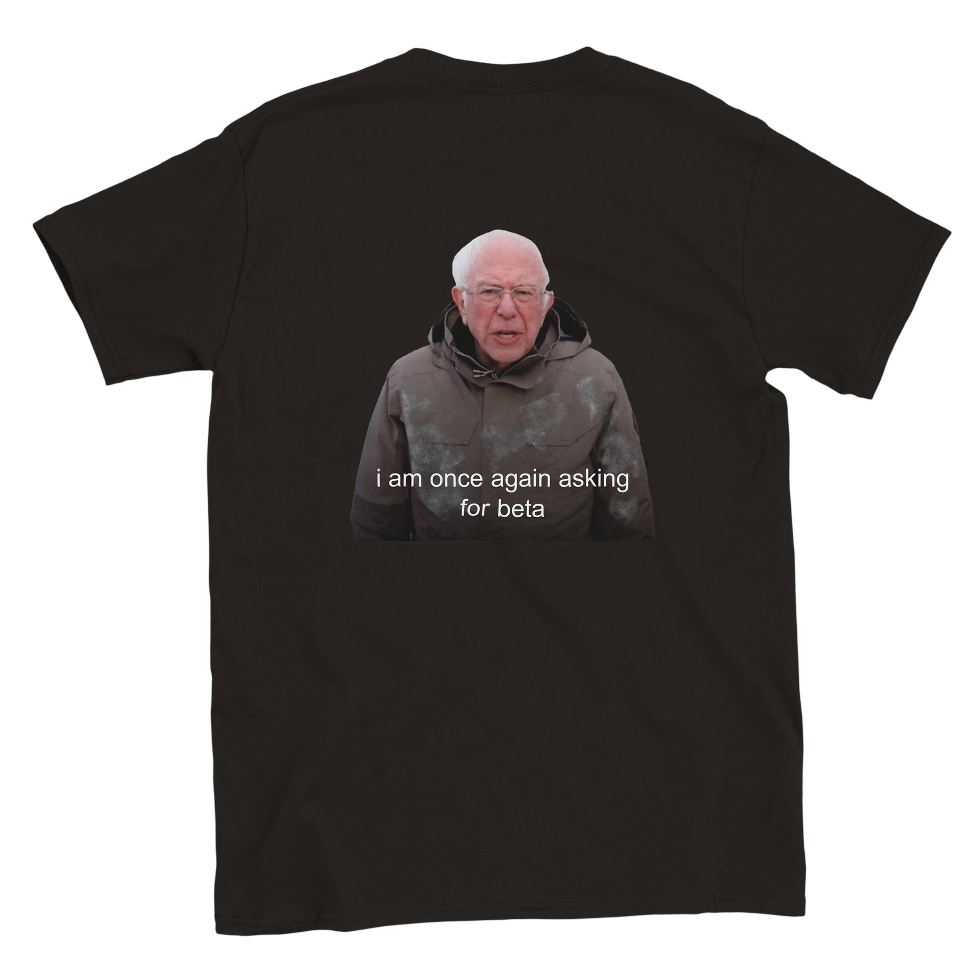 Funny climbing shirt – I Am Once Again Asking For Beta T Shirt Backside