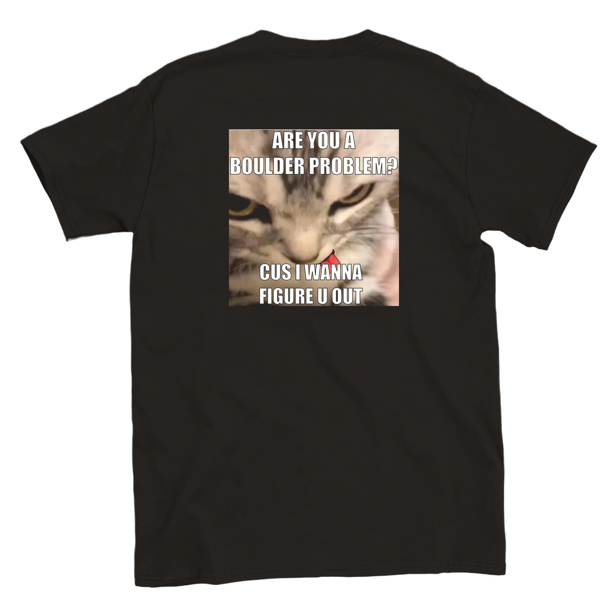 Back view of a black bouldering T-shirt featuring Are You a Boulder Problem? cat meme with 'cus I wanna figure u out' text.