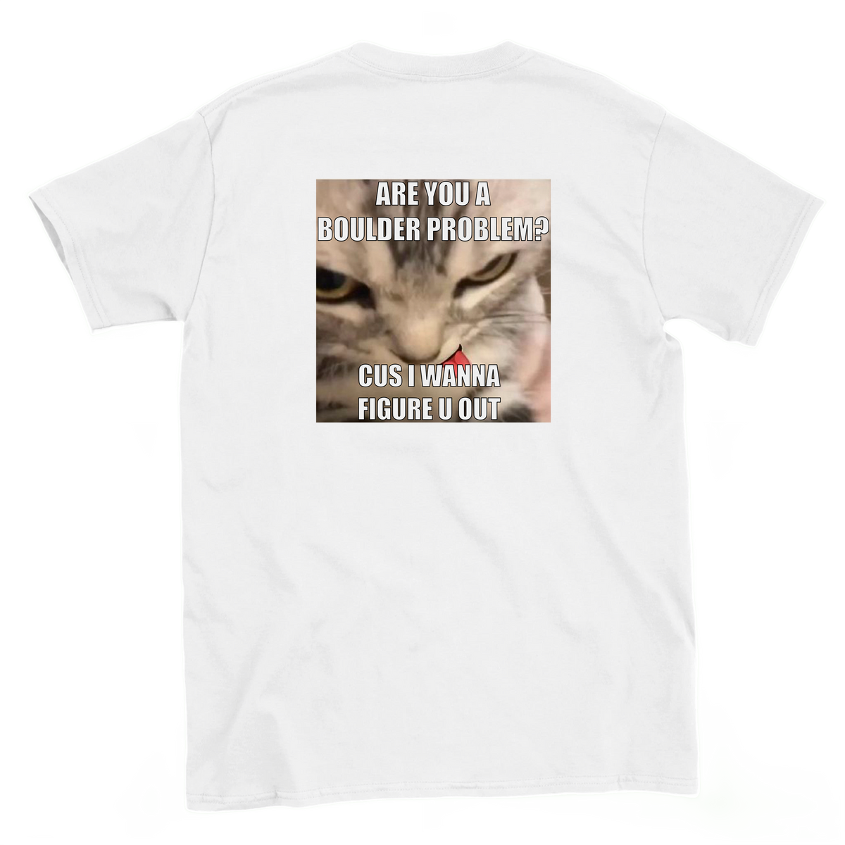 Back view of a white bouldering T-shirt featuring Are You a Boulder Problem? cat meme with 'cus I wanna figure u out' text.