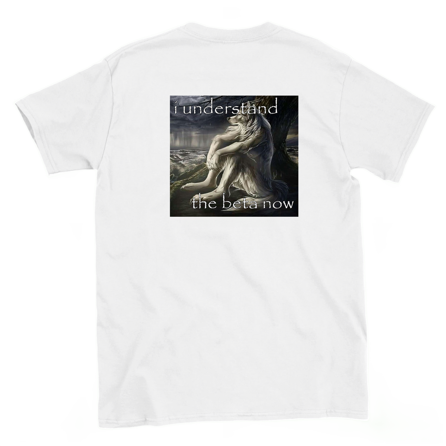 i understand the beta now T-shirt backside