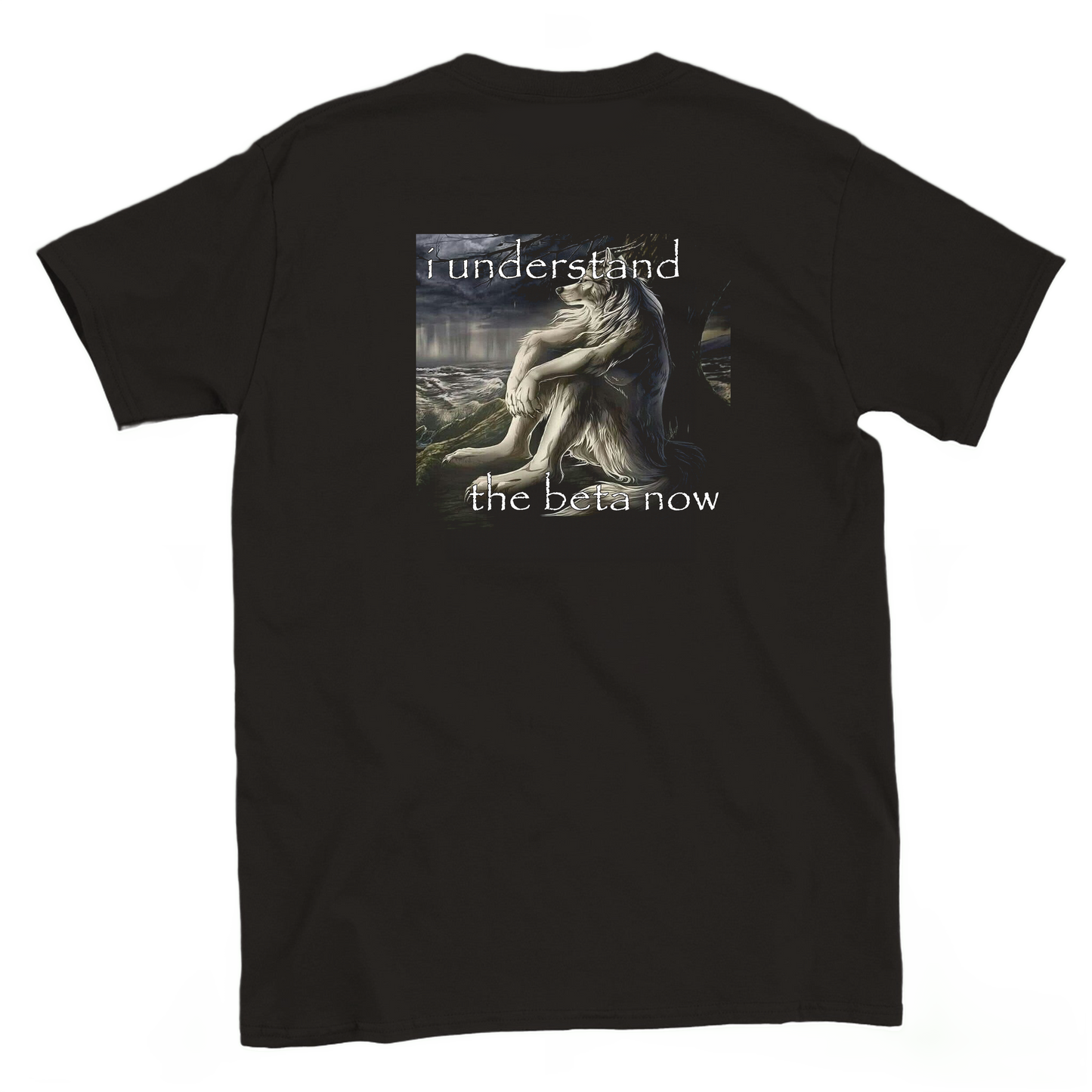 i understand the beta now T-shirt backside